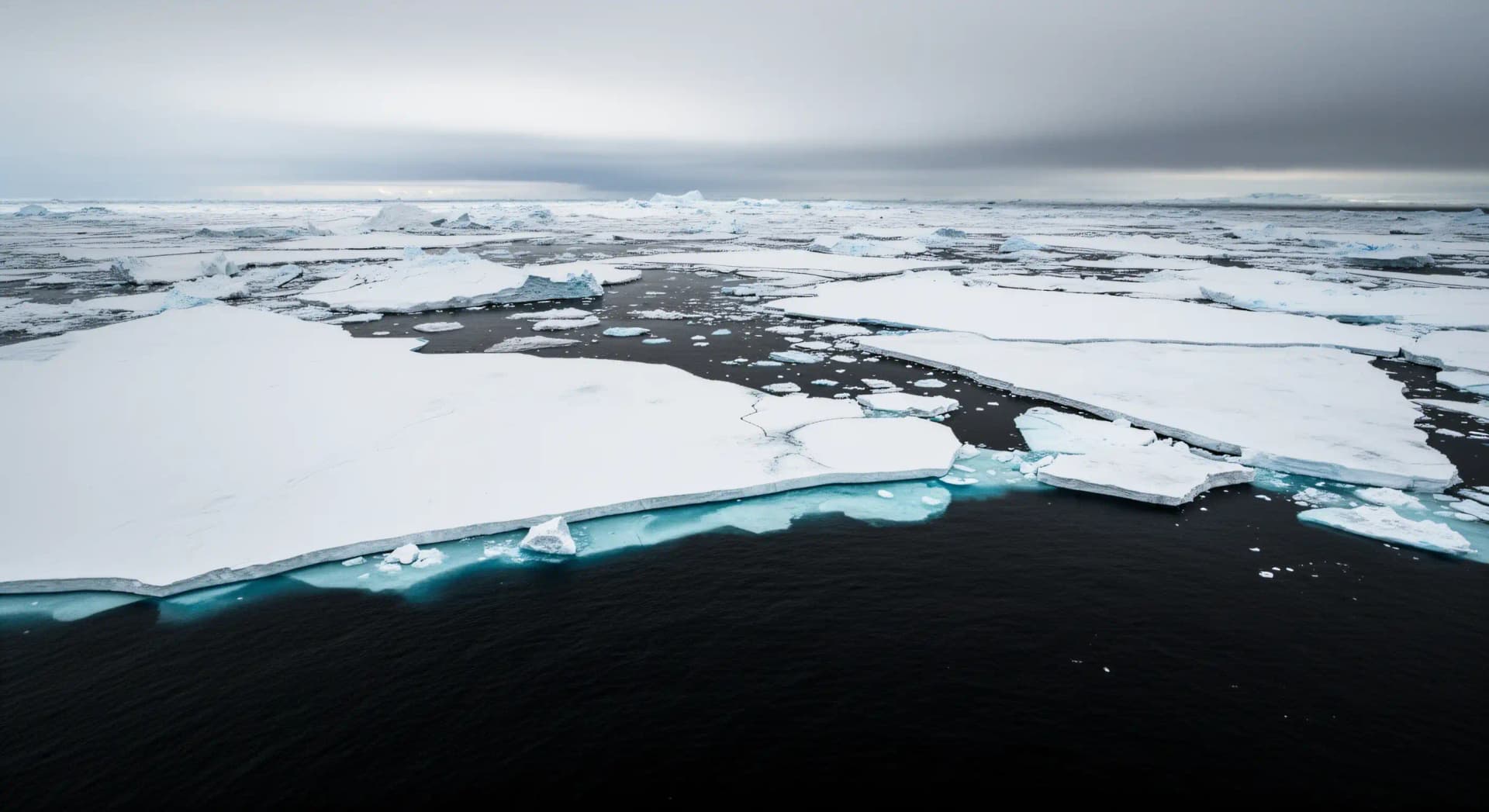 Albédo et rétroaction banquise : amplification arctique