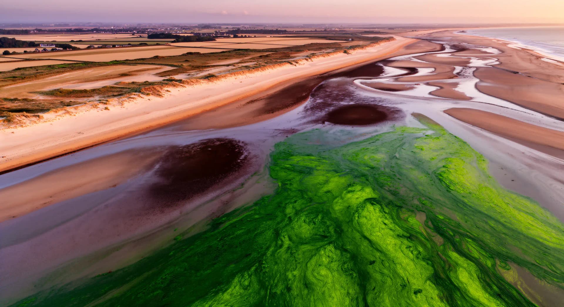 Azote, phosphore : les cycles cachés du climat