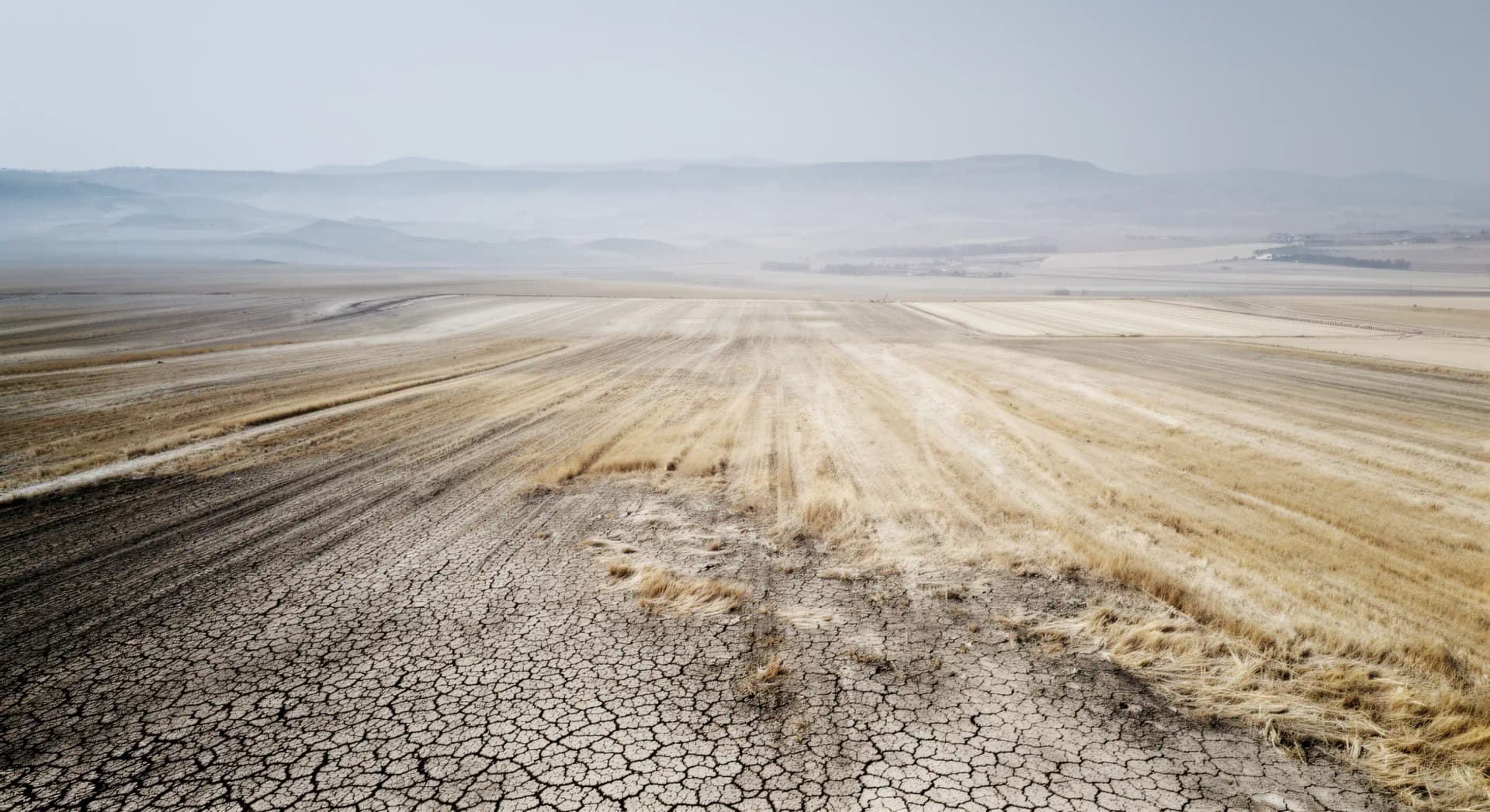 Lancet Countdown 2026 : santé climat, rapport qui chiffre