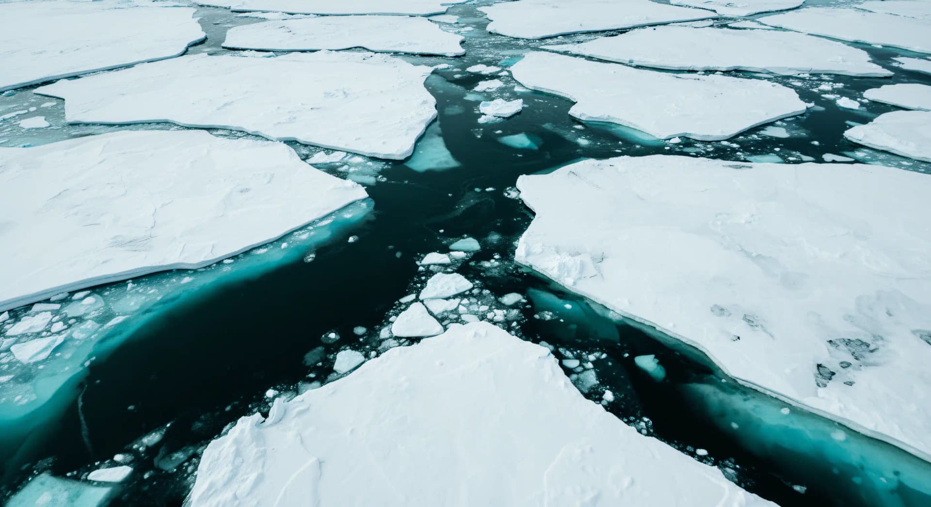 Arctique : la fonte a tué les nitrates depuis 2009